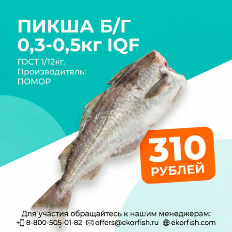 Пикша б/г 0,3-0,5 кг IQF ГОСТ 1/12 кг Помор