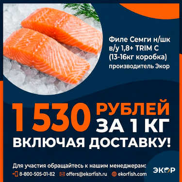 Специальное предложение 🐟 