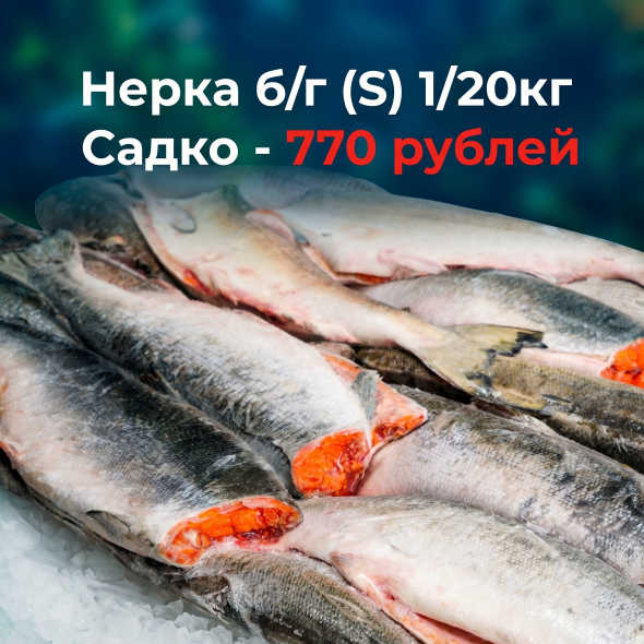 Продукт недели: Нерка б/г (S) 1/20кг Садко— и спецАкция только сейчас! 🐟