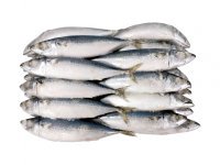 Скумбрия н/р 400-600 г, IQF, короб 10 кг - Экор