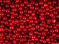 Красная смородина 1/10кг Экологические продукты Беларусь