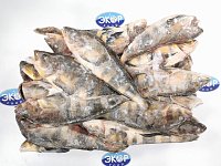 Терпуг н/р 600-800г L ТУ 1/18кг Росрыбфлот