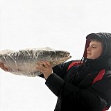 Богдан Греськов