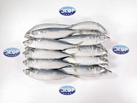 Скумбрия н/р 400-600г IQF 1/10кг Китай