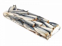 Скумбрия н/р 200-300г ТУ 1/30кг Морская звезда