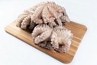 Купить Осьминоги очищенные (цветок) 1,5-2кг (15-16кг) Марокко в Москве, СПБ, Краснодаре с доставкой в день заказа